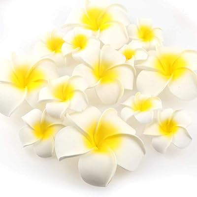 SATYAM KRAFT 24 Pcs...