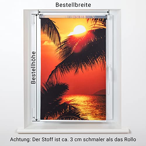 Rollo ohne Seitenzug Die 15 besten Produkte im Vergleich