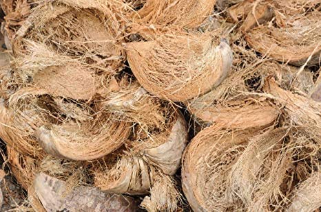 Sai Organics Natural Coconut Husk Coir Fiber 100% Pure (1 kg) (B08K4DTB3B) Amazon Price History, Amazon Price Tracker