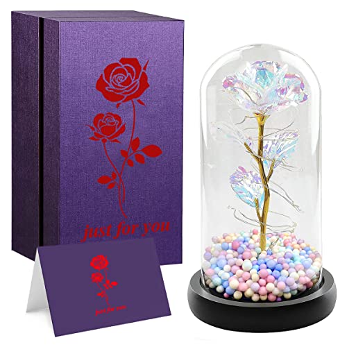 La Bella y la Bestia - Rosa eterna bajo campana de cristal con luces LED rosas para regalo para el día de la madre, boda, aniversario, San Valentín, Navidad, para mamá, mujer o niña Cover