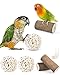 Bissap 7PCS Small Parrot Toys, Natural Sola Balls Bark Sola Sticks Parrot Chew Forage Toy Bird Foot Balls for Cockatiels Conures Cockatoos Parakeets Love Birds Budgie Finch Parrot Cage Bite Toys
