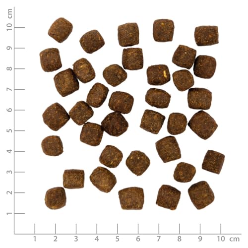 WOLFSBLUT VetLine Care Snack GASTROINTESTINAL – 2 x 100g | Softsnack für empfindliche Hunde | Getreidefrei & ohne Zusätze | leicht verdaulich mit Ente & Elektrolyten