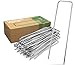 GardenGloss Anti-Rost Erdanker aus Stahl (100 Stück) - Stabile Bodenanker für Unkrautvlies, Gartenvlies, Zaun & Camping - 150 MM Lang, 30 MM Breit, Ø 3 MM