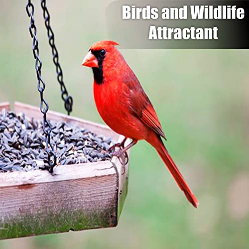 Old Potters Wildlife Striped Sunflower Seed for Wildlife Bird Feeding, Non-GMO and USA Small Farm Grown, 6 lbs