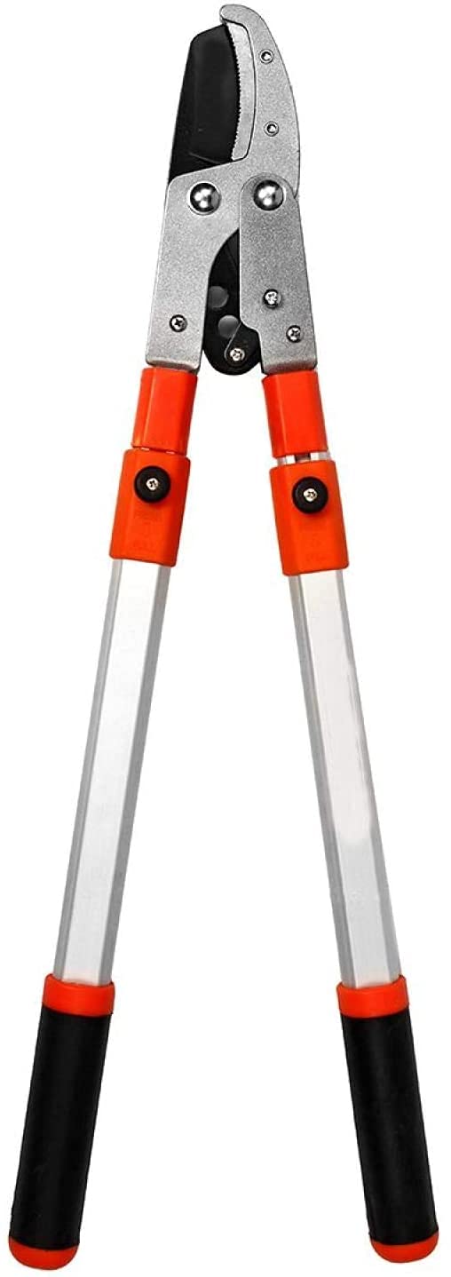 Cortador de ramas Tijeras de cobertura, cortador, poda, tijeras de mano, cortador de plantas, herramientas de poda Trinquete de árbol telescópico Lopper Pruner Herramienta de jardín extensible Herram