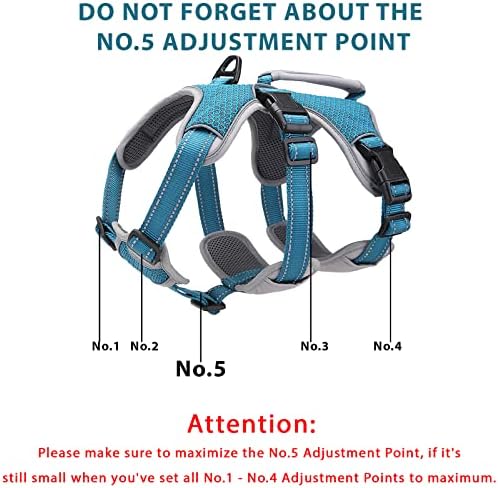 BELPRO Multi-Use Support Dog Harness, Escape Proof No Pull Reflective Adjustable Vest with Durable Handle, Dog Walking Harness for Big/Active Dogs (Blue, M)