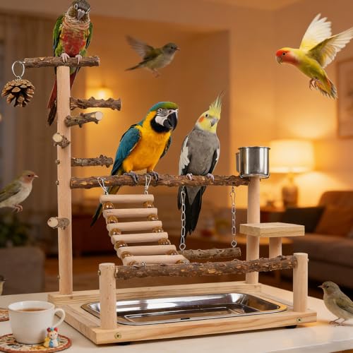 Perchoir de jeu pour oiseaux calopsitte conure jouet escalade