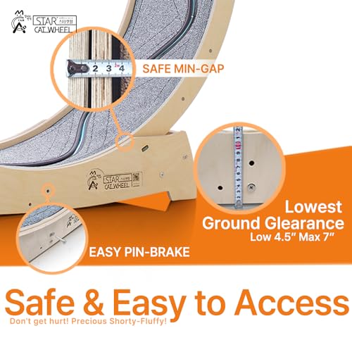 Star Cat Wheel, Cat Treadmill, Exercise Wheel for Running, Spinning, Scratching, and Climbing for Indoor Cats, Premium Birch Wood, Eco-Friendly, Moving Fish, Wide Running Track, 47.2 inch XL Size