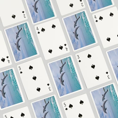 Juego de 52 Naipes de Poker Lantern Press Destin Florida miniatura 4