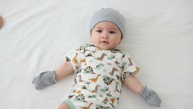 Lot De 3 Bodies Bébé Manches Courtes - Coton Doux - 0-12 Mois - Motifs Animaux Et Colorés