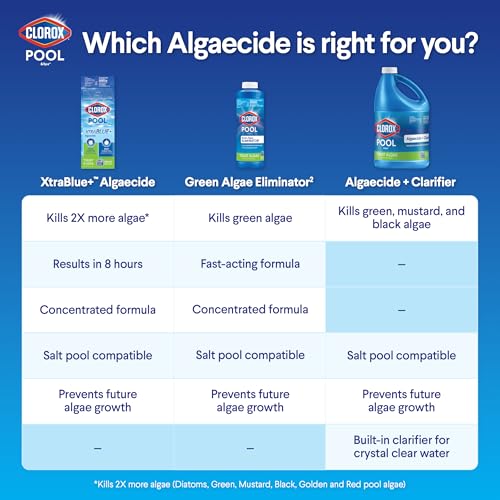 Clorox® Pool&Spa™ Swimming Pool Algaecide, Prevents and Treats Pool Algae, Non-Foaming, 1 Quart (Pack of 1)