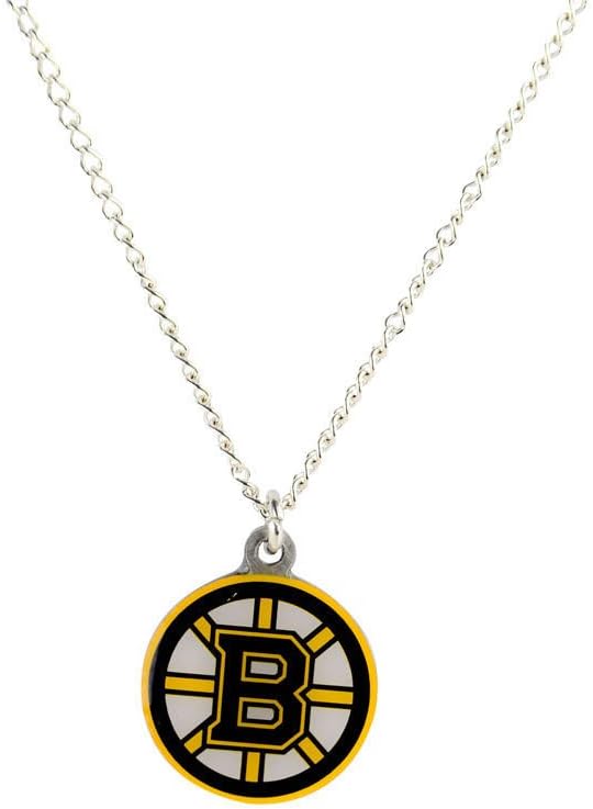 Aminco NHL Boston Bruins Team Logo Pendant Necklace