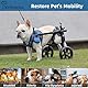 Pvirbravoo Dlm-01 Hunderollstuhl für kleine Hunde, verbesserte All-Terrain-Reifen, verstellbarer Hunderollstuhl, reflektierendes Sicherheitsdesign für behinderte oder verletzte kleine Hunde