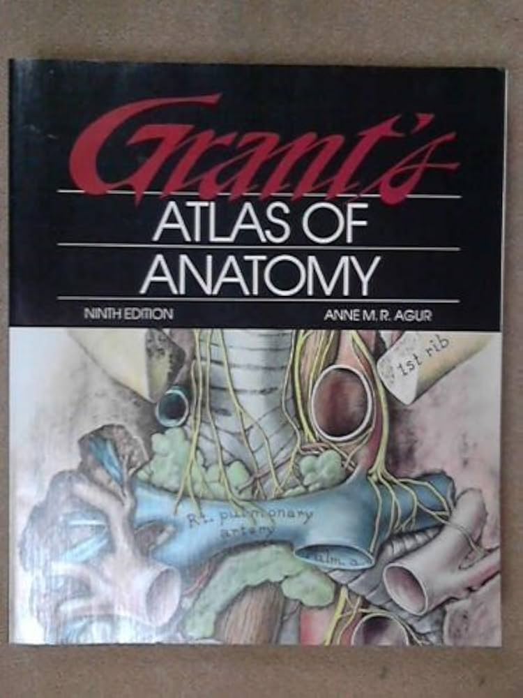 健康・医学 Grant's ATLAS OF ANATOMY Amazon | Grant's Atlas of Anatomy (GRANT, JOHN CHARLES BOILEAU