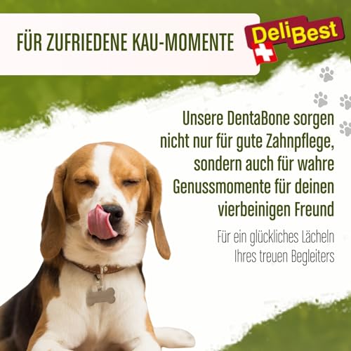 DeliBest DentaBone Strauss I Kauknochen Hund leicht verträglich ohne Gluten I Kaustange Hund für Zahnreinigung I Hundesnacks für groß und klein I Hundekauknochen 1 x 100 g