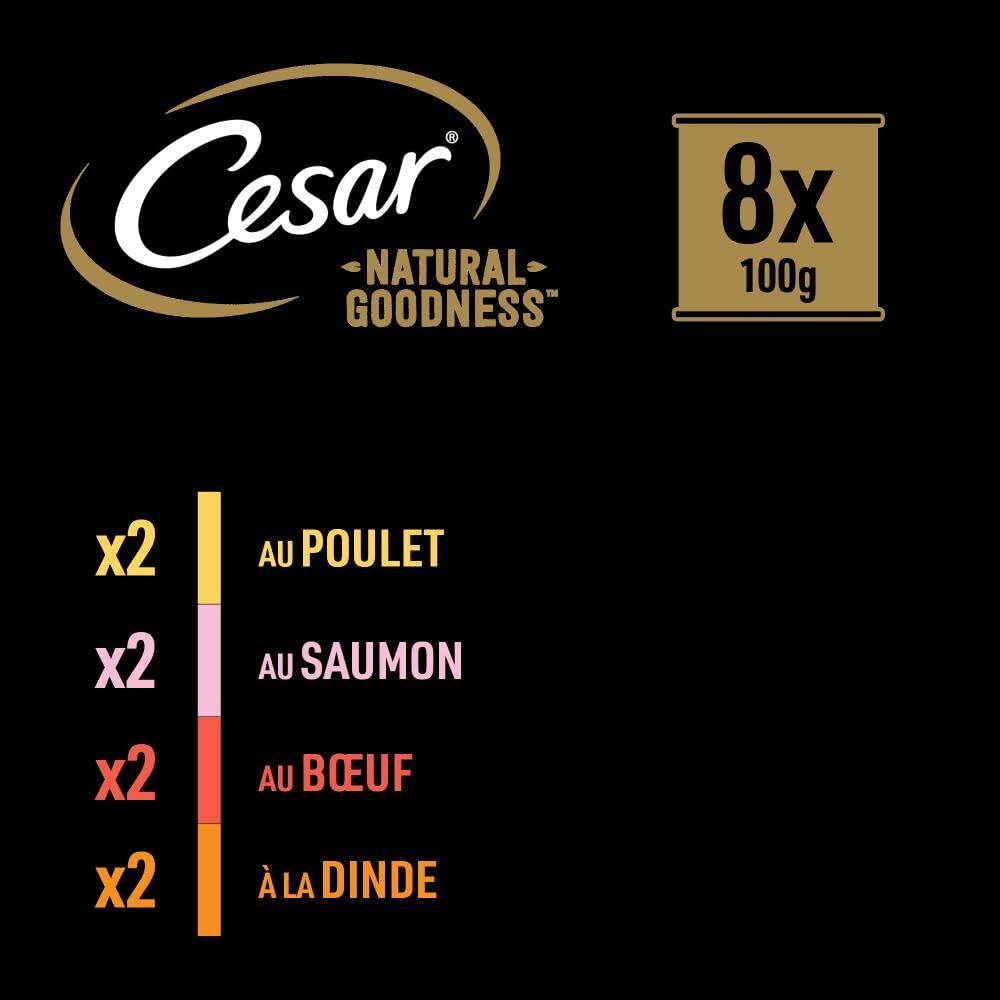 Cesar Barquettes Natural Goodness Casserole en Sauce – Nourriture Humide pour Chien – 4 variétés – Lot de 24 barquettes x 100 g