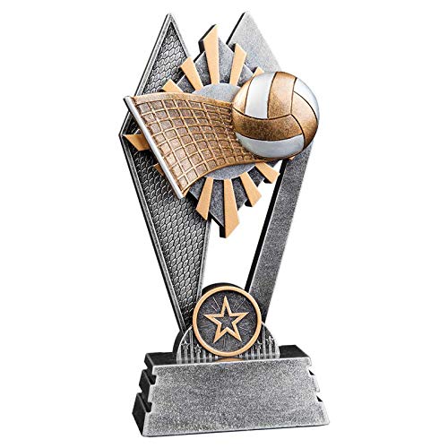 Express Medals 7 inch Sun Ray Resin Volleyball Trophy Award with Engraved Personalized Plate SR119 (3-Pack)