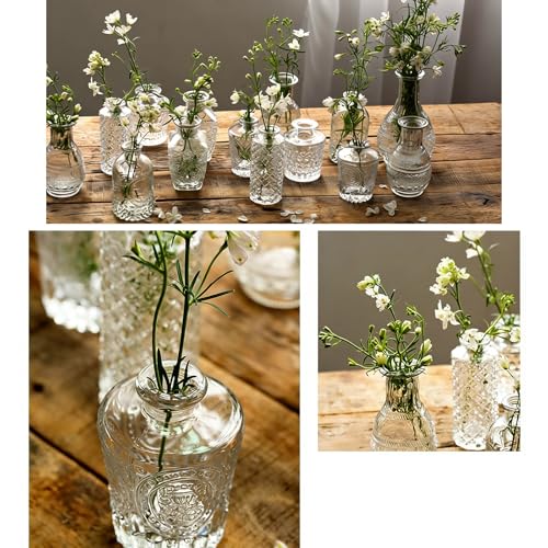 Vases à fleurs en verre transparent rétro soliflore pour mini décoration de table