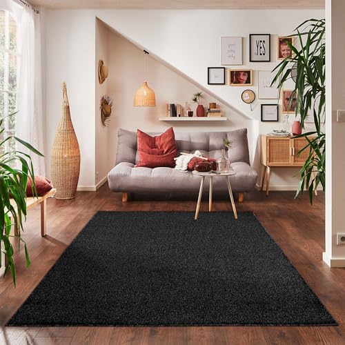 Carpettex Wohnzimmer Teppich - Kurzflor Modern Einfarbig 140 x 200 cm Anthrazit - Waschbar Extra Weich Flauschig für Küche, Schlafzimmer, Kinderzimmer, Esszimmer, Flur Carpettex Wohnzimmer Teppich - Kurzflor Modern Einfarbig 140 x 200 cm Anthrazit - Waschbar Extra Weich Flauschig für Küche, Schlafzimmer, Kinderzimmer, Esszimmer, Flur