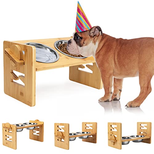 Top 11 Best Food Bowls for English Bulldogs HayFarmGuy