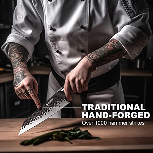 Japanese Chef Knife,Brodark Professional 8 Inch Kitchen Knife With Hand Forged 9Cr18Mov High Carbon Steel Blade,Ultra Sharp Gyuto Knife And Ergonomic Handle,Gift Box #TOP3