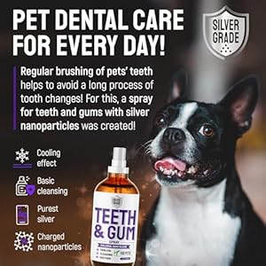 SILVER GRADE Teeth & Gum Spray for Pets β Dental Formula for Dog Mouth Rinse & Cat Mouth Care β Dog Fresh Breath, Clean Teeth, No Pain Or Burning β Plaque and Tartar Remover (4 Oz) SILVER GRADE Teeth Gum Spray for Pets–Dental Formula for Dog Mouth Rinse Cat Mouth Care–Dog Fresh Breath Clean Teeth No Pain Or Burning–Plaque and Tartar Remover 4 Oz