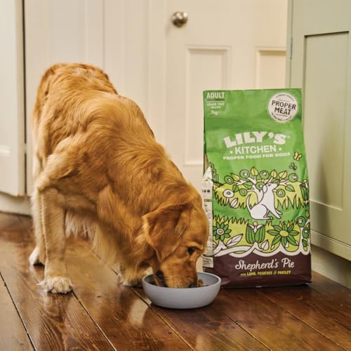 Lily's Kitchen Mit natürlichen Zutaten hergestellt Für ausgewachsene Hunde Trockenfutter Hirtenkuchen Ausgewogene Rezeptur 1kg Beutel