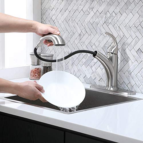 Ikebana 17816L Kitchen Faucet With Sprayer Brushed Nickel thumb #1