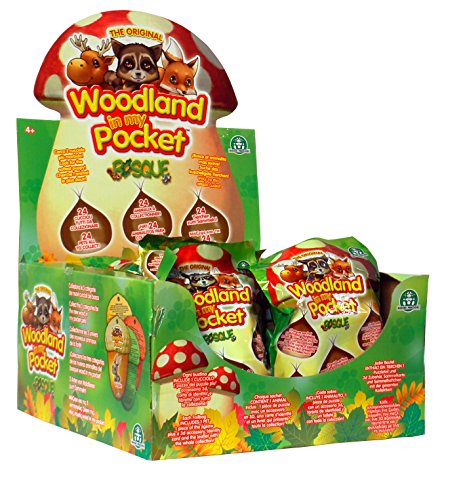 Preisvergleich Produktbild Woodland in my Pocket - 24 Stück im Display