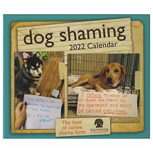 Dog Shaming 2022 Day-to-Day Calendar