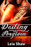 Destiny Forgiven (Shadows of Destiny Book 5)