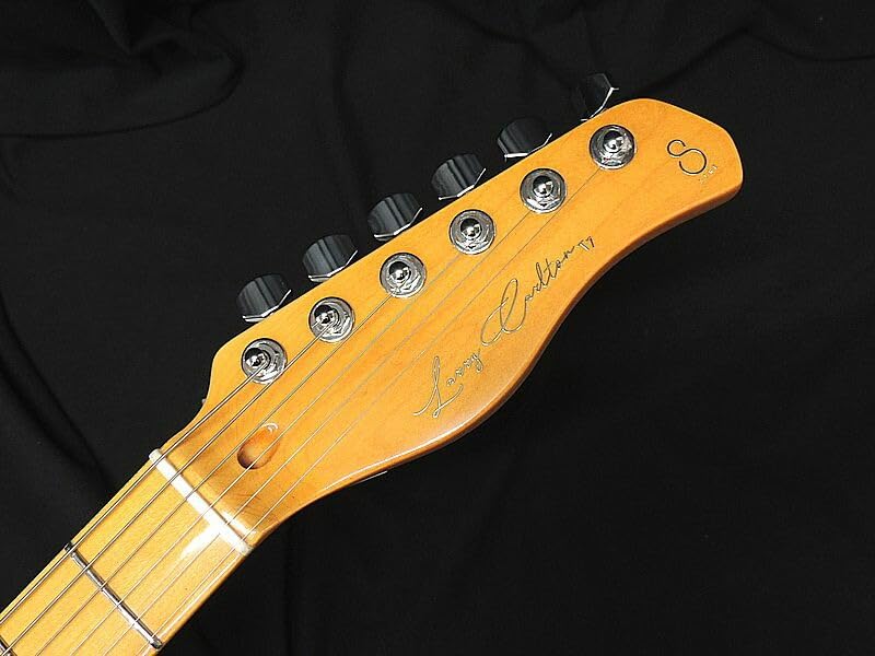 Amazon | Sire Larry Carlton T7TV NT Natural サイアー ラリー