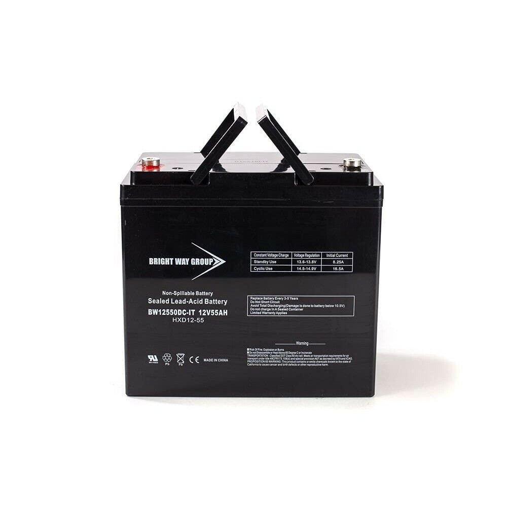 Bright Way Group 12V 55AH SLA Battery IT Terminal