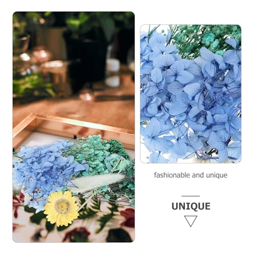 Flores prensadas naturales secas para manualidades y decoración miniatura 3