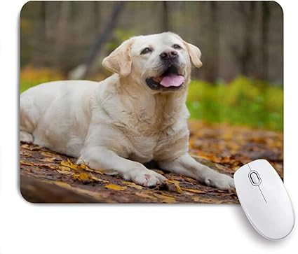 Amazon Kapanou マウスパッド マープルの葉とかわいい犬のラブラドールレトリバー おしゃれ 耐久性が良い 滑り止めゴム底 ゲーミングなど適用 マウス 用ノートブックコンピュータマウスマット Kapanou マウスパッド 通販