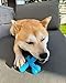 Nylabone Comfort Hold X-Bone Power Chew Toy for Dogs, Dog Toys for Aggressive Chewers, Beef Flavor, Small - Up to 25 lbs, 1 Count