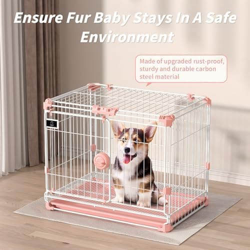 https://m.media-amazon.com/images/I/51sIuGbL1KL._AC_.jpg