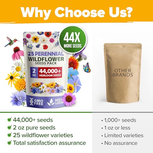 Image of HOME GROWN USA Wildflower Seeds Bulk Mix | 44,000 Non-GMO Perennial Flower Seed for Full Sun & Shade | 19 Varieties for Butterfly & Pollinator Garden | 2 oz