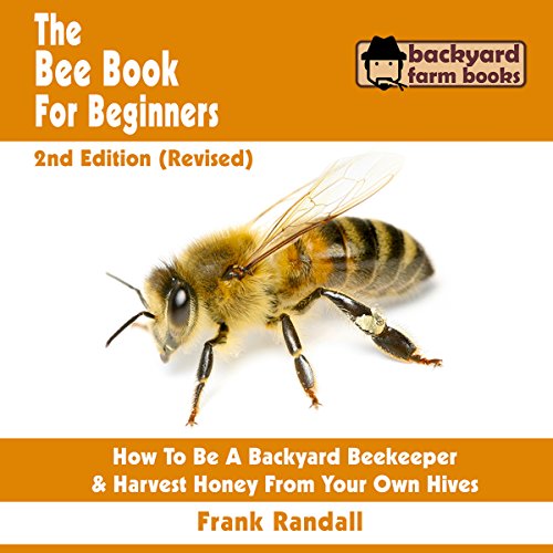 The Best Bees For Beginner
