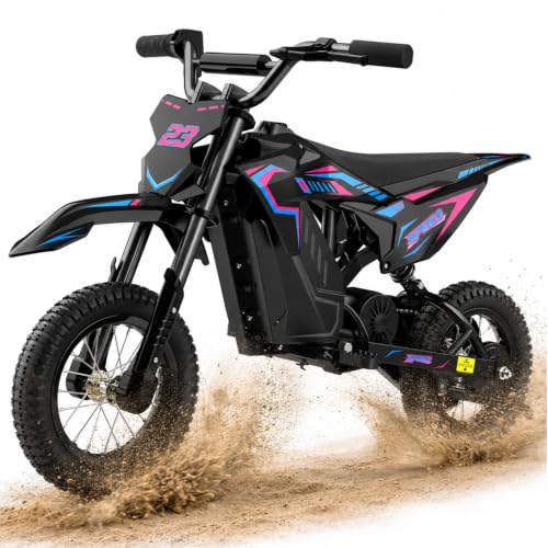 QWAYQ 36V Electric Dirt Bike