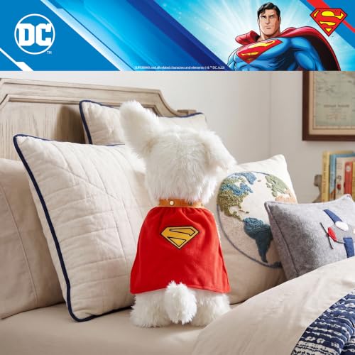 Image of Krypto Superman DC Comics Kids Bedding Super Soft Plush Cozy Cuddle Pillow, Dog, (Officially Licensed Product) by Franco