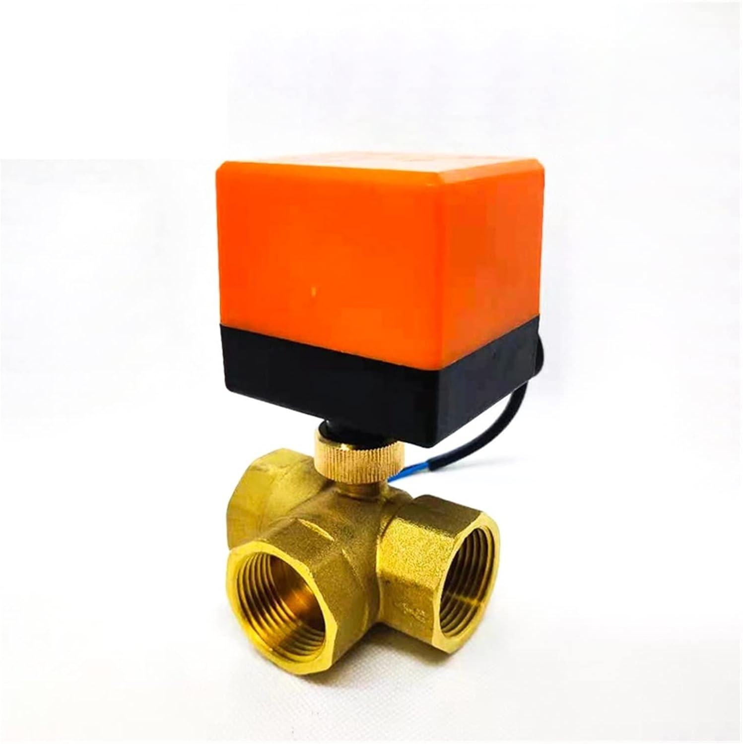 明治36年 新約全書 大日本聖書館 横浜刊 希少 聖書 美品 - メルカリ