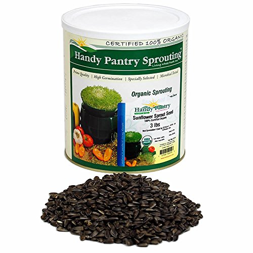 3 Lb Bulk Organic Non-GMO Black Oil Sunflower Microgreens Seeds and Sprouting Seeds (Shell On) - Edible Sun Flower Micro Green Seeds, Organic Sprout Seeds, Seeds for Sprouting, and Sprout Mix