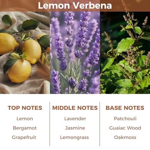Reed Diffuser Set,Lemon Verbena Essential Scented Oil,100ml(3.38 oz) with 6 Reed Sticks,Long-Lasting Fragrance for Home, Bathroom & Office - Image 3