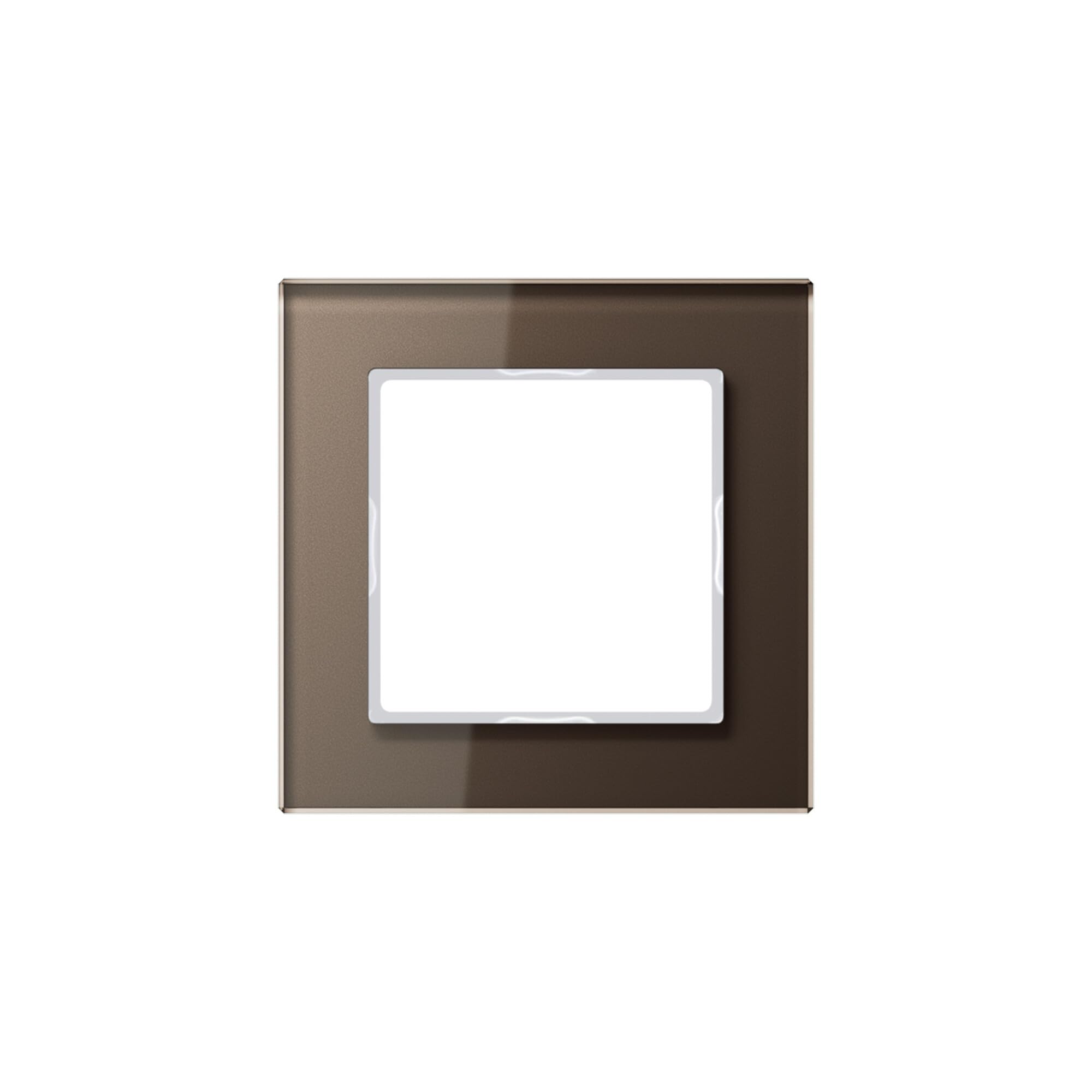 Jung AC581GLMO Cadre Simple Haut de Gamme pour Plaques Murales de Prises