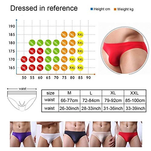 Sexy Smooth Low Waist Seamless Men Underwear Thin Underpants Ice Silk Briefs Mini Bikini4