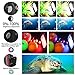 Seafrogs Diving Video Light Waterproof 130FT/40M White Red Blue Light Underwater Photography Fill Lights High Power 6000 Lumens Flash Light with Ball Head YS Adapter for Gopro, Housing (SL-22)