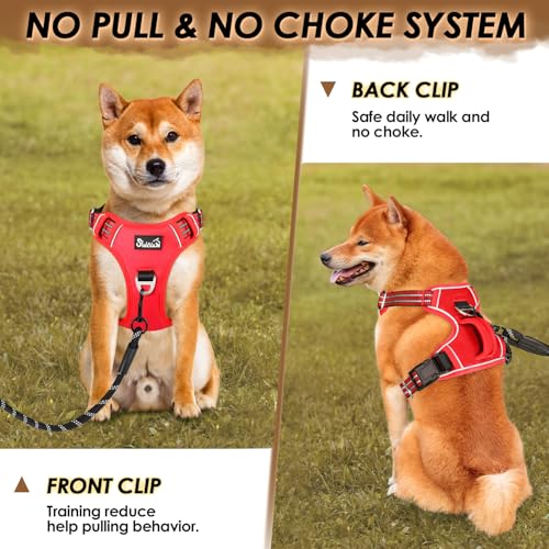 Eyein Large Dog Harness - Anti Pull Adjustable Heavy Duty Pet Vest with 2 Clips, Escape Proof Puppy Harness with Soft Padded Handle, Reflective for Outdoor Training Walking - Image 2