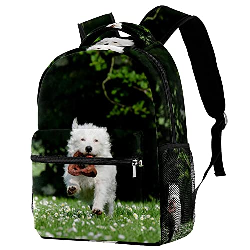 Sac à dos de voyage Leisure Campus idéal pour les sorties scolaires des filles et garçons