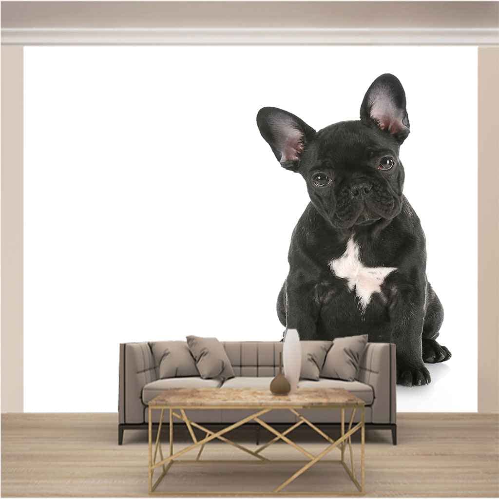 Selbstklebende Tapete Tierischer Welpe 3D Fototapete Wandbild Motiv Abziehen Und Aufkleben Wandfoto 3D Tapetenkleister Wohnzimmer Die Wand Für Schlafzimmer Wandbild Bordüre - 250x175 cm